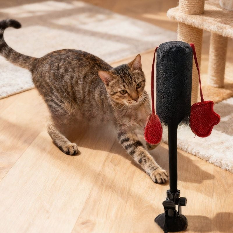 Interactive Cat Boxing Spring Toy with Teasing Stick