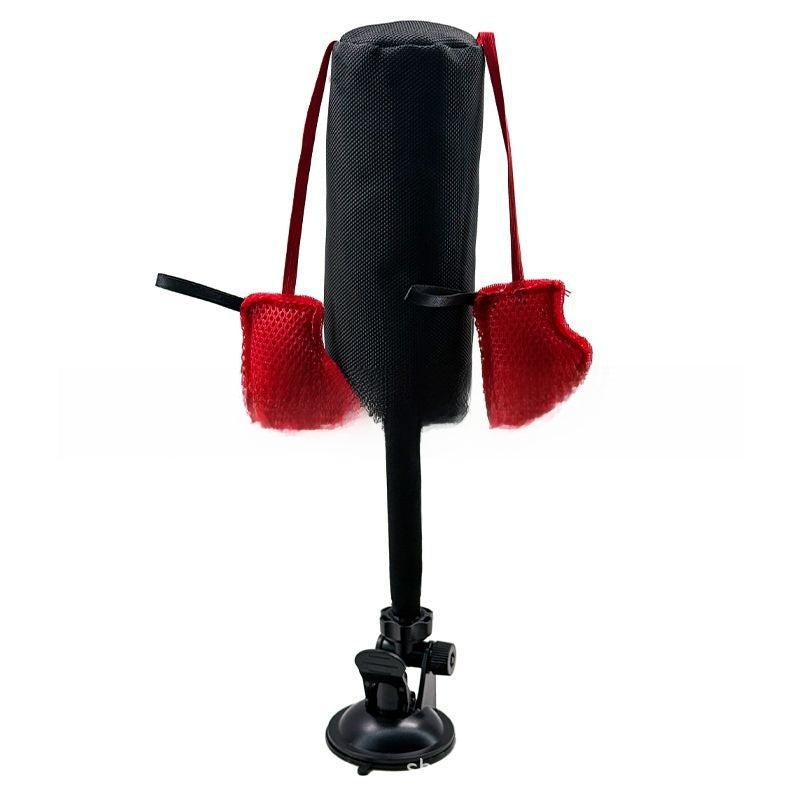 Interactive Cat Boxing Spring Toy with Teasing Stick